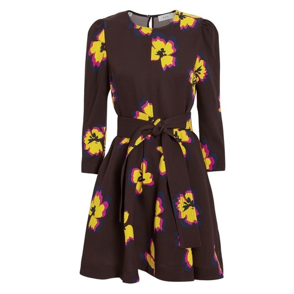 HOST PICK🎉 A.L.C.
Silk Mini Dress with pockets - Picture 4 of 13